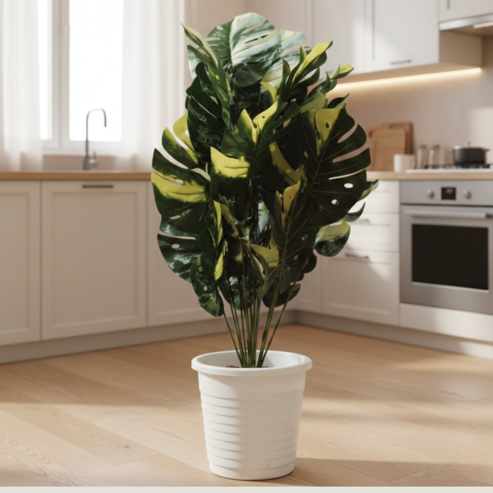 Artificial Dumb Cane Plant (P38)