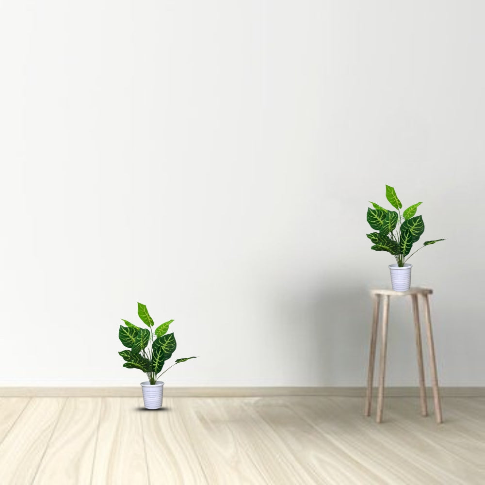 Artificial Dumb Cane Plant (P38)