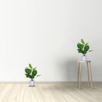 Artificial Dumb Cane Plant (P38)