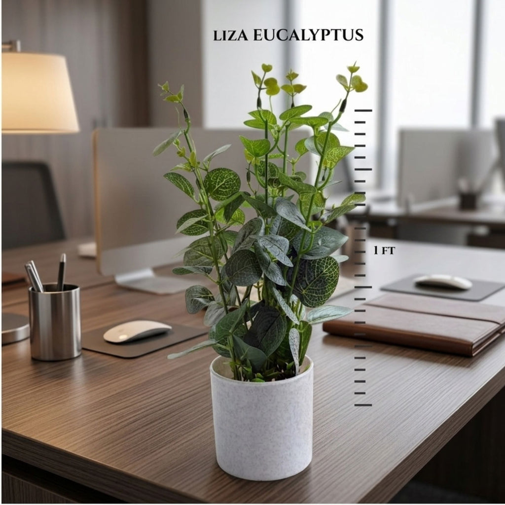 Artificial EUCALYPTUS mini pot combo of 3
