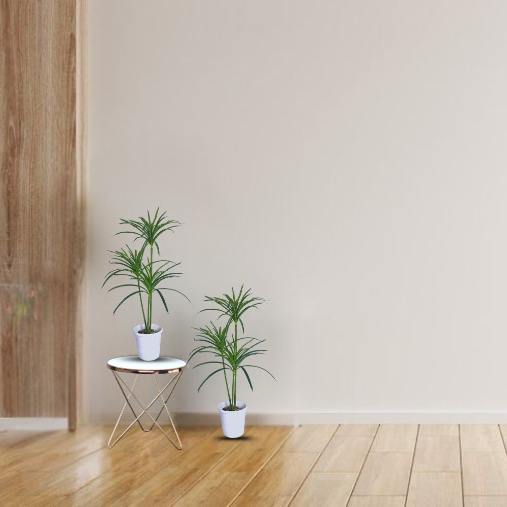 Artificial Madagascar Dragon Tree