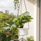 Artificial Hanging plant (Combo of 2)