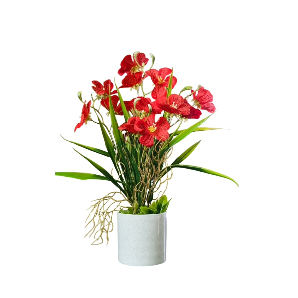 ARTIFICIAL GERANIUM FLOWER —COMBO OF 2