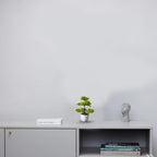 Artificial Bonsai Plant combo of 2