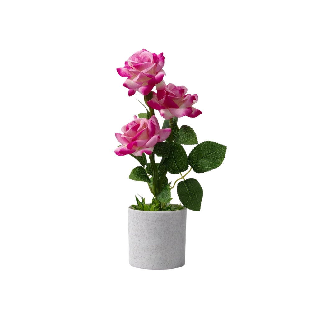 Artificial LIZZY ROSE (combo of 2)