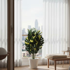 Artificial Dumb Cane Plant (P38)