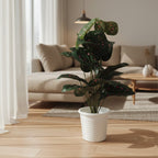 Artificial Dumb Cane Plant (P38)