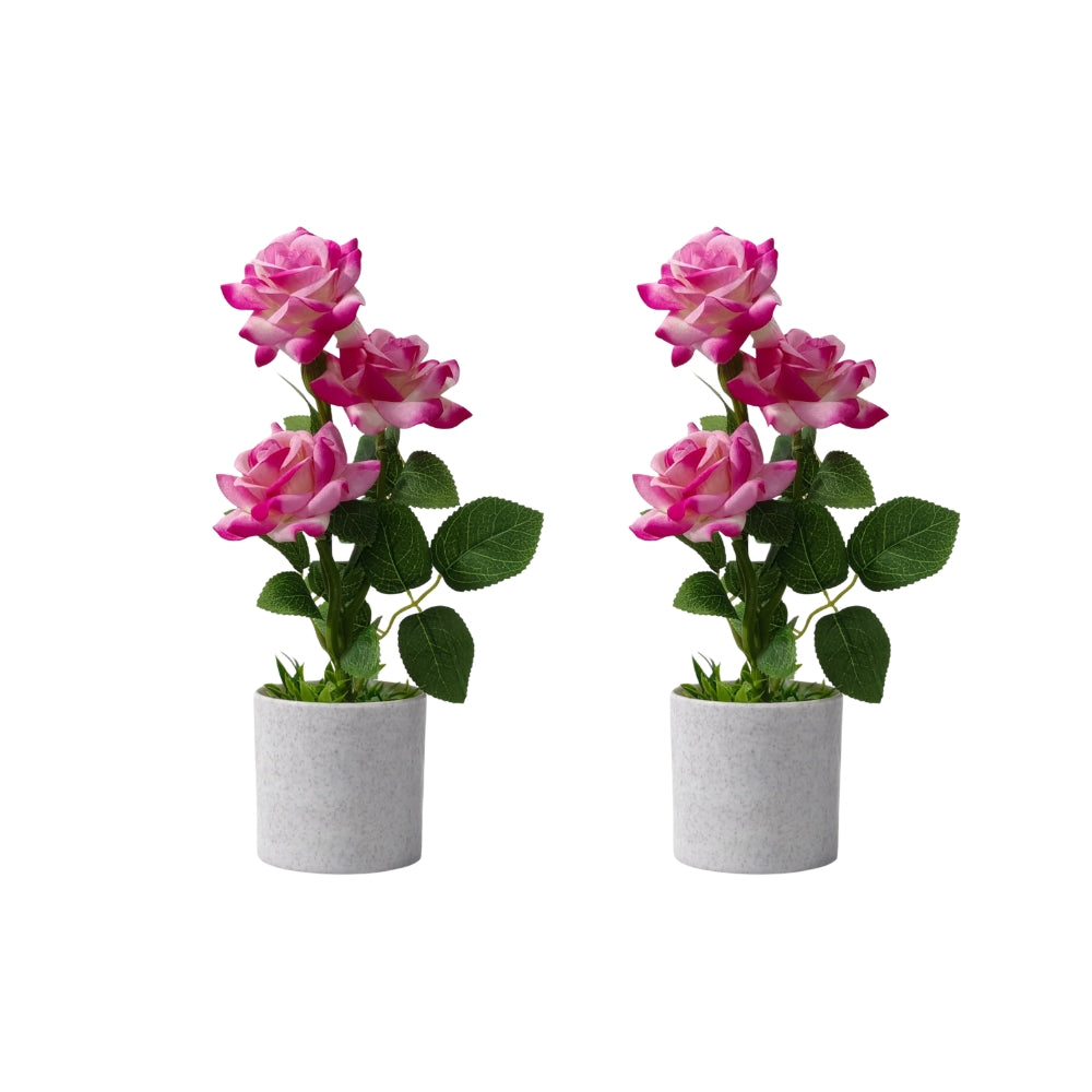 Artificial LIZZY ROSE (combo of 2)