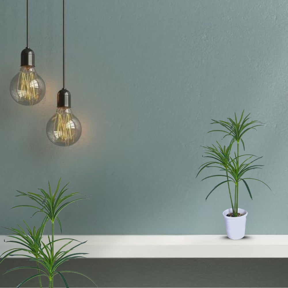 Artificial Madagascar Dragon Tree