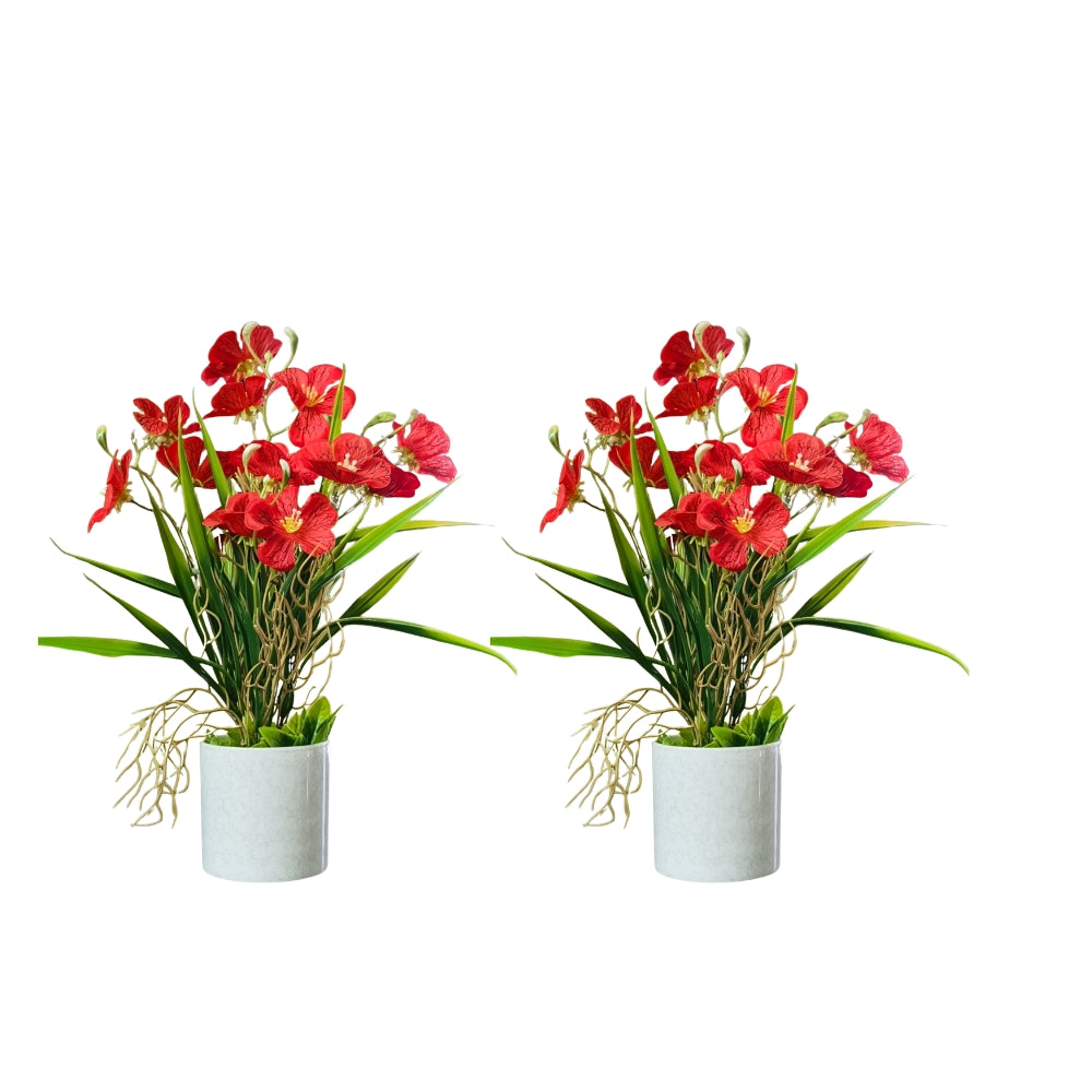 ARTIFICIAL GERANIUM FLOWER —COMBO OF 2