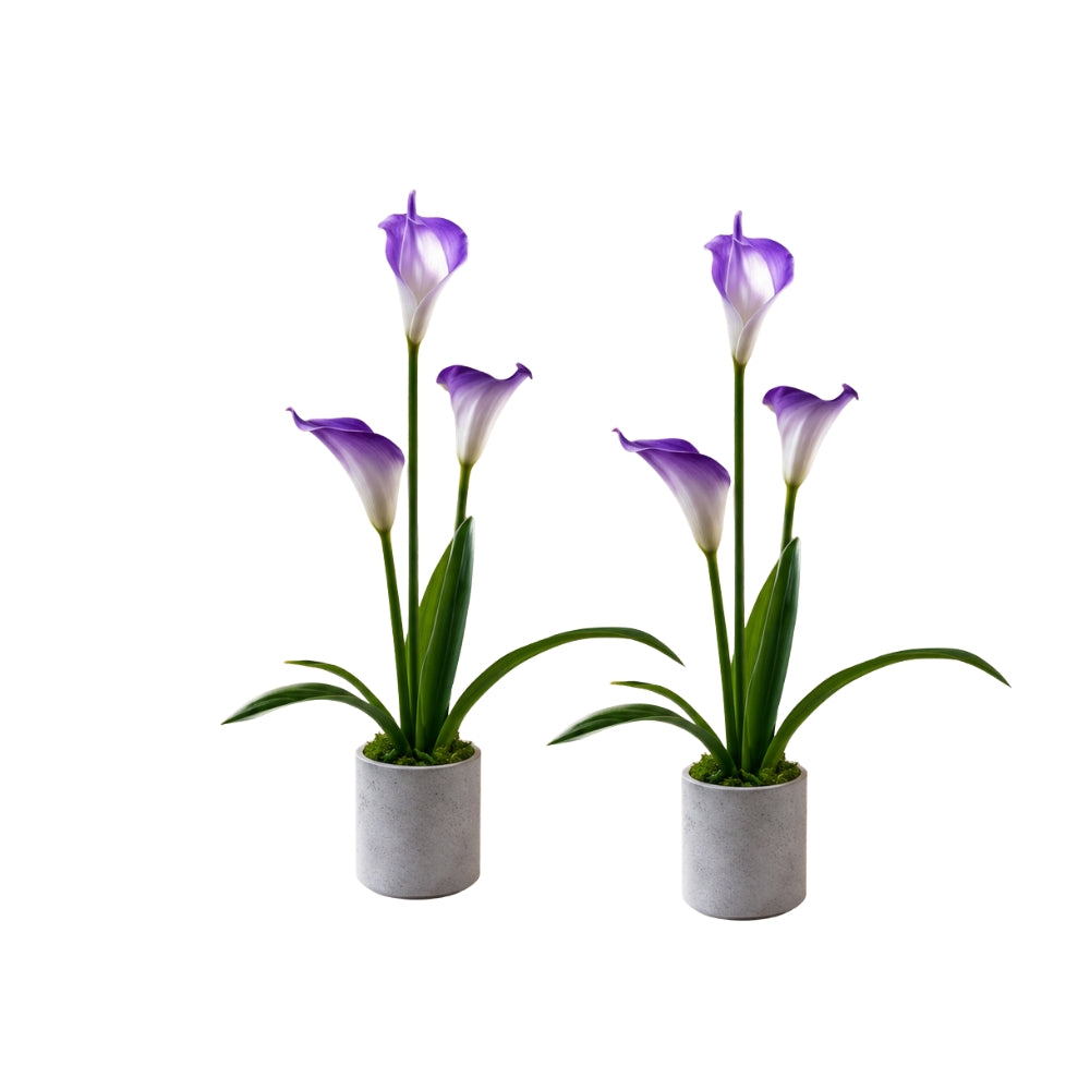 Artificial ANTHURIUM flower ( combo of 2)