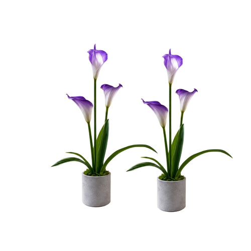 Artificial ANTHURIUM flower ( combo of 2)