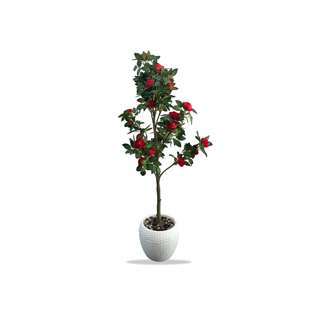 Artificial Hybrid Rose Plant