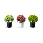 Artificial Bonsai Boxwood Buxus Multi Branch combo of 2