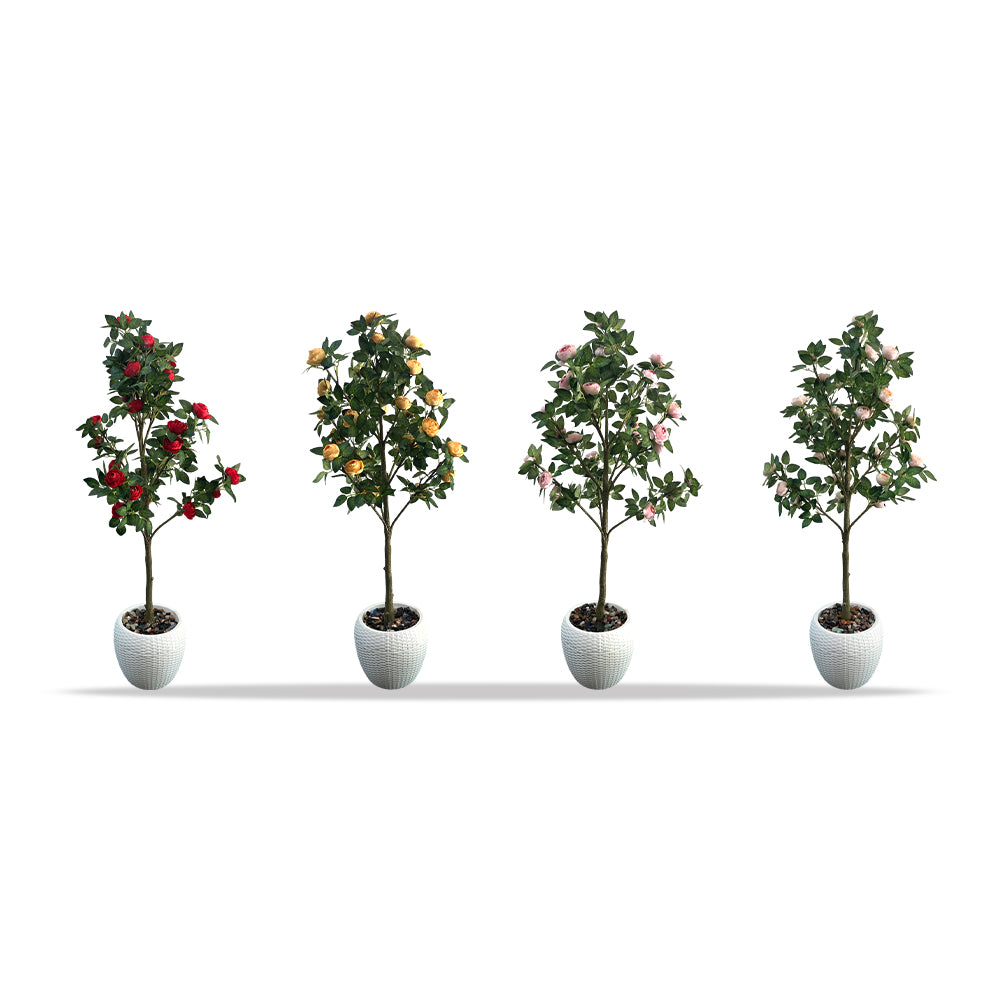 Artificial Hybrid Rose Plant