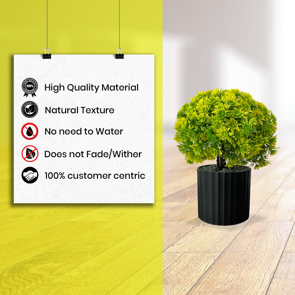 Artificial Bonsai Boxwood Buxus Multi Branch combo of 2
