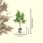 Faux Mapel Leaf Plant