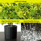 Artificial Bonsai Boxwood Buxus Multi Branch combo of 2