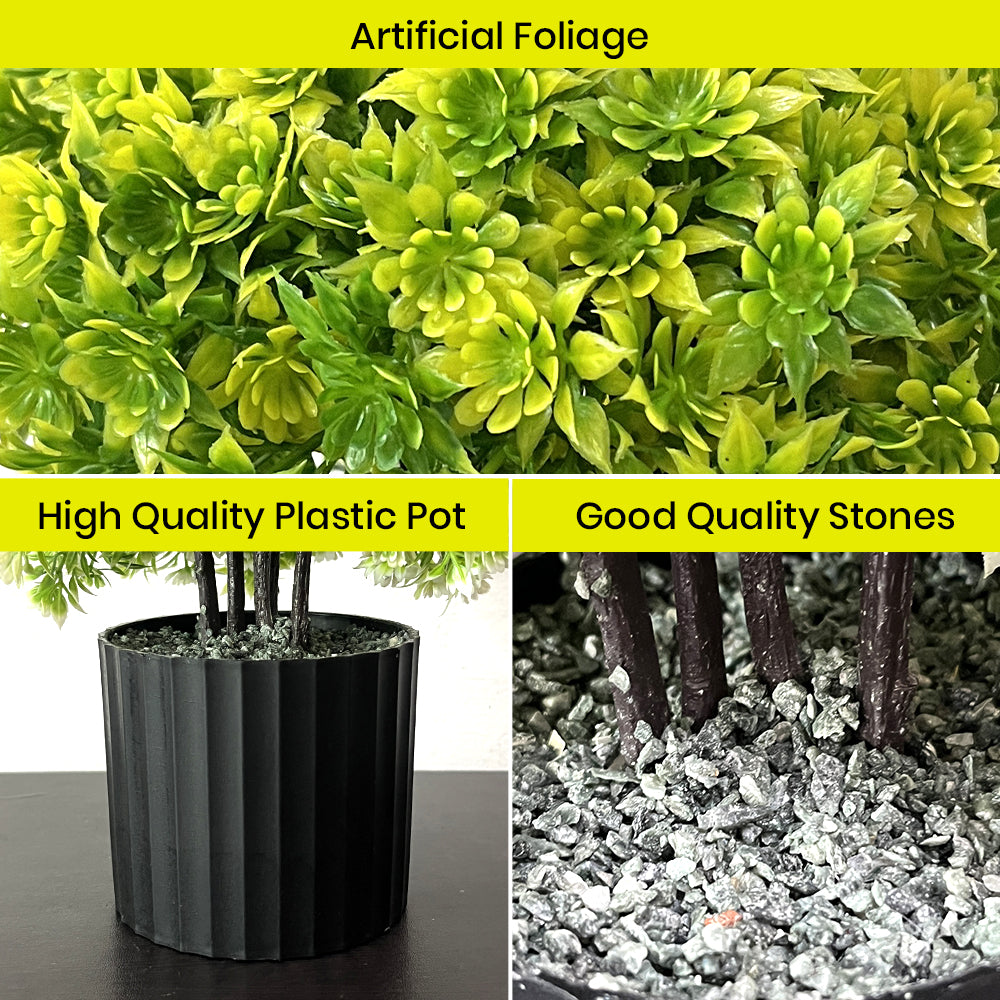 Artificial Bonsai Boxwood Buxus Multi Branch combo of 2