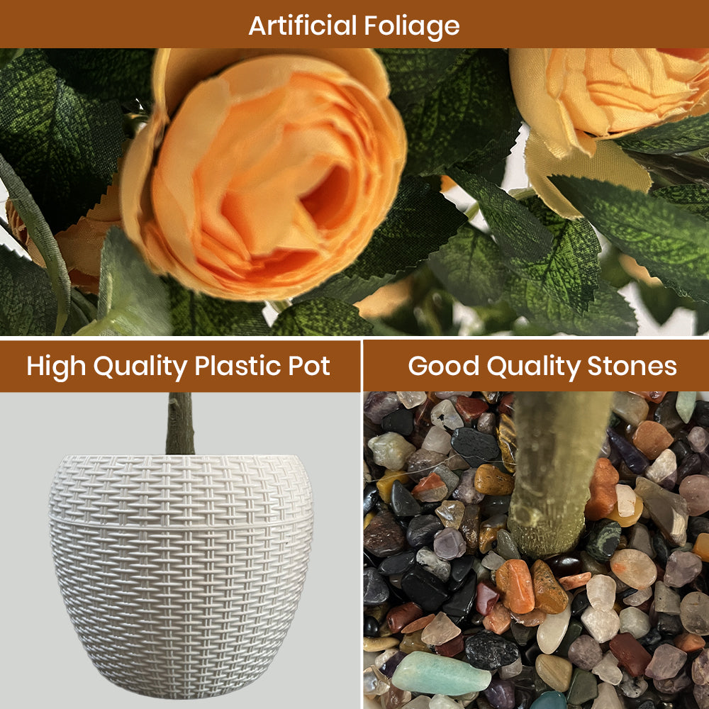 Artificial Hybrid Rose Plant