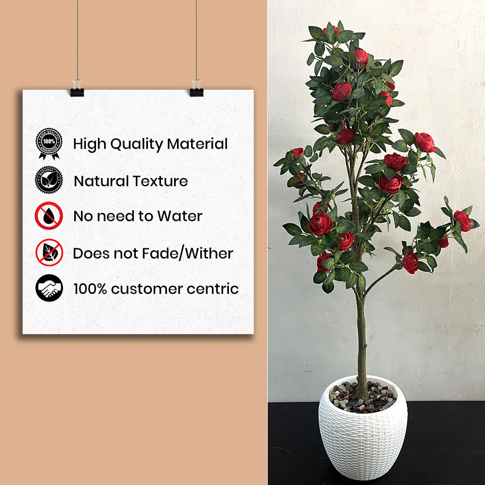 Artificial Hybrid Rose Plant