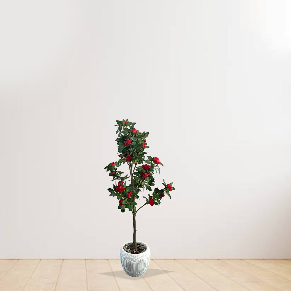 Artificial Hybrid Rose Plant