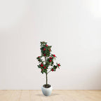 Artificial Hybrid Rose Plant