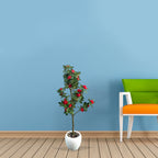 Artificial Hybrid Rose Plant