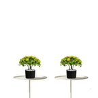 Artificial Bonsai Boxwood Buxus Multi Branch combo of 2