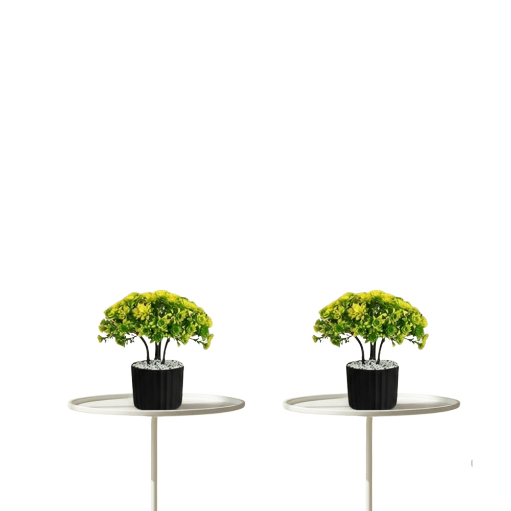 Artificial Bonsai Boxwood Buxus Multi Branch combo of 2