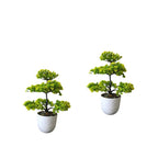Artificial Bonsai Plant combo of 2