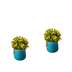 Artificial Bonsai Roses with Pot Combo of 2
