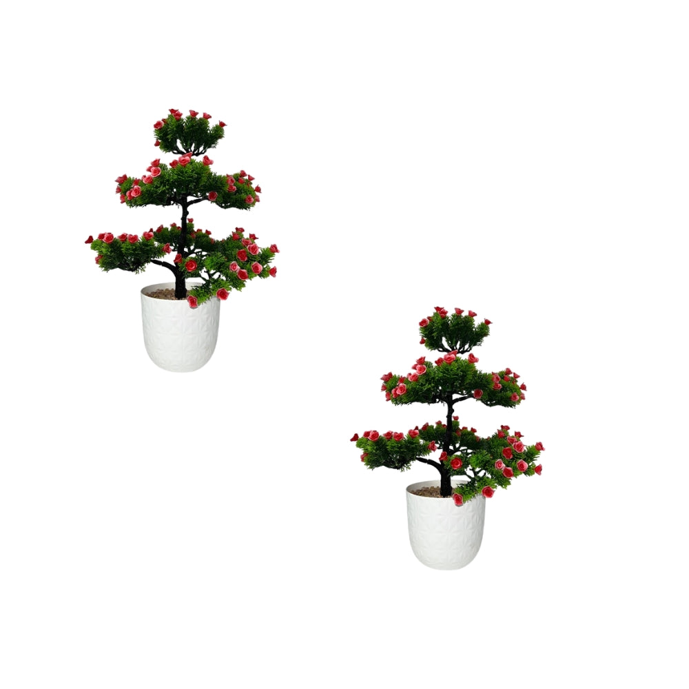 ARTIFICIAL BONSAI TREE ( COMBO OF 2)