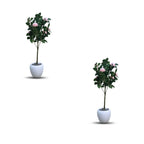 Faux Camellia Rose Plant(P33)