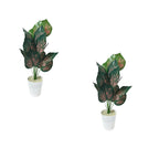 Artificial Dumb Cane Plant (P38)