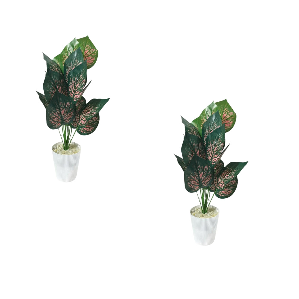 Artificial Dumb Cane Plant (P38)