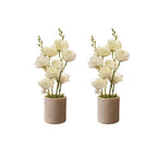ARTIFICIAL PEONY — COMBO OF 2