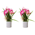 ARTIFICIAL GERANIUM FLOWER —COMBO OF 2