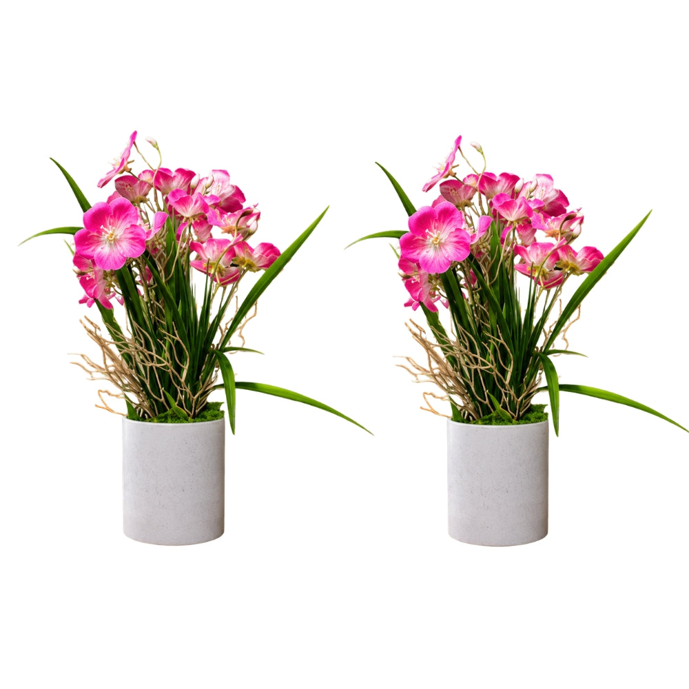 ARTIFICIAL GERANIUM FLOWER —COMBO OF 2