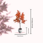 Faux Mapel Leaf Plant