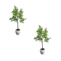 ARTIFICIAL TREE ( COMBO OF 2 )