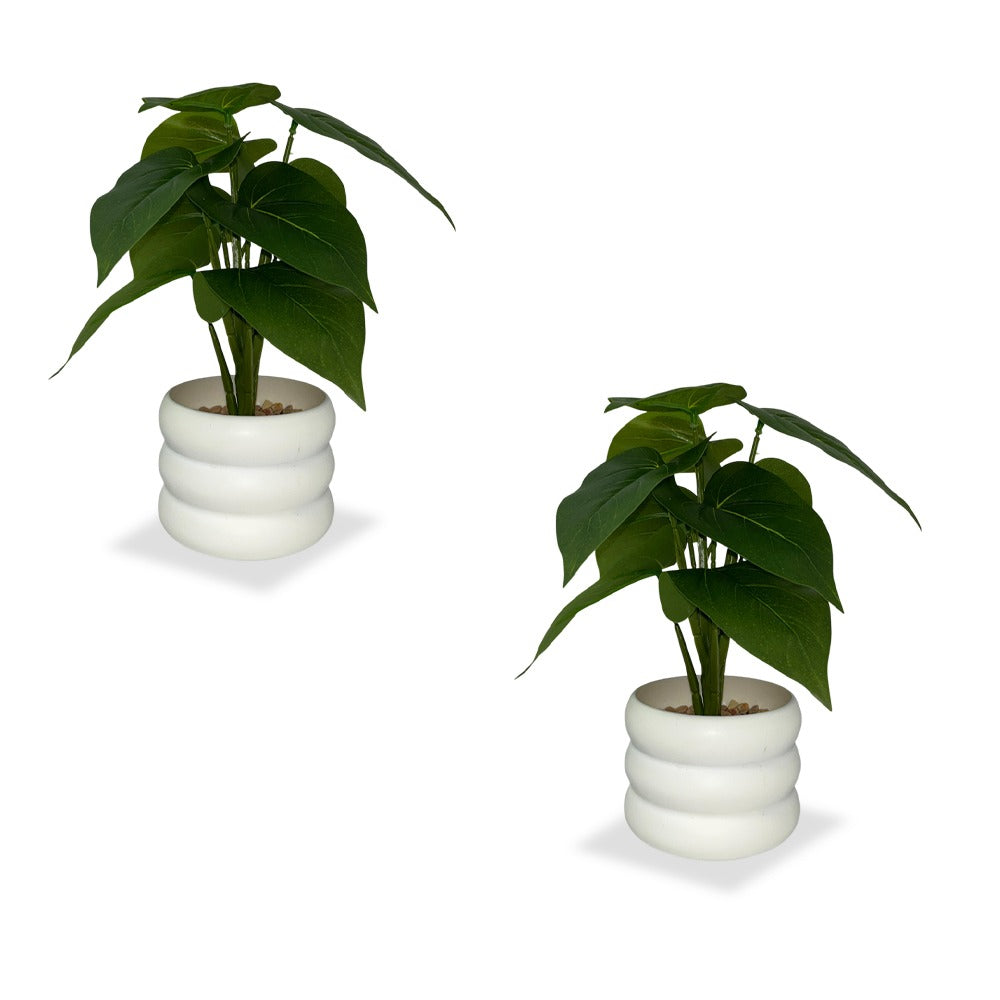 Faux Money Plant with Pot Combo of 2(P35)