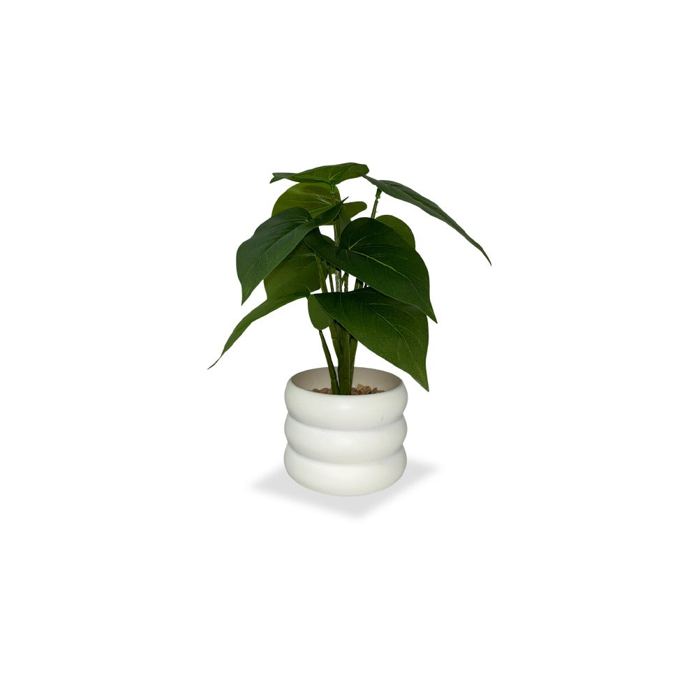 Faux Money Plant with Pot Combo of 2(P35)
