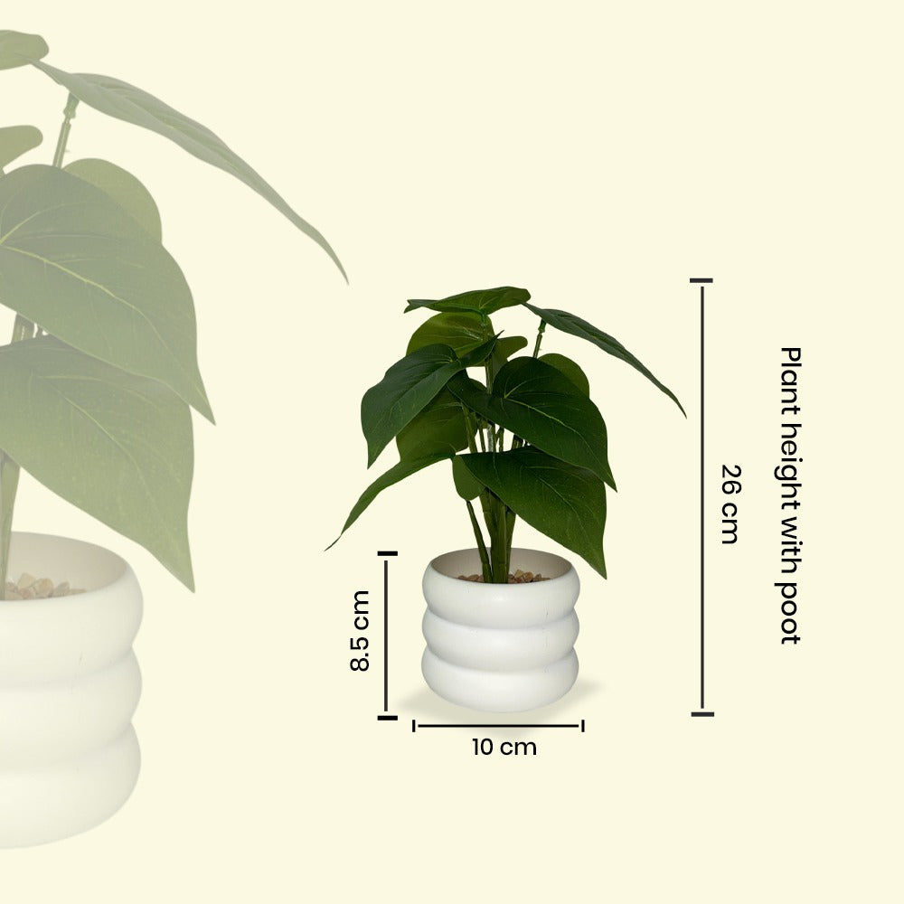 Faux Money Plant with Pot Combo of 2(P35)