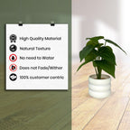 Faux Money Plant with Pot Combo of 2(P35)