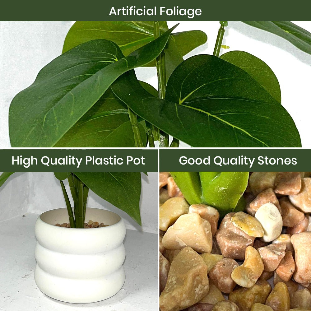 Faux Money Plant with Pot Combo of 2(P35)