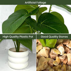 Faux Money Plant with Pot Combo of 2(P35)