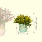 Artificial Astilbe Plants with Pot Combo of 2