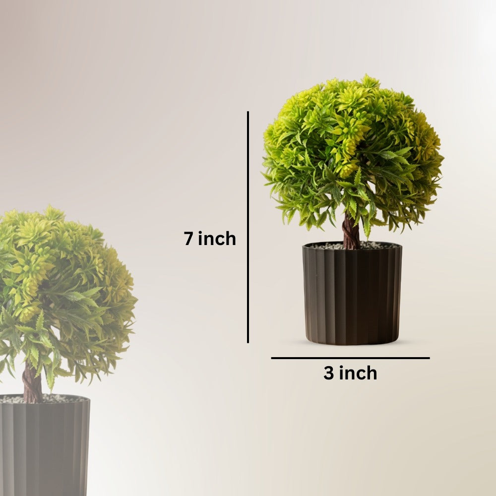 Artificial Bonsai Boxwood Buxus  Single Stem combo of 2