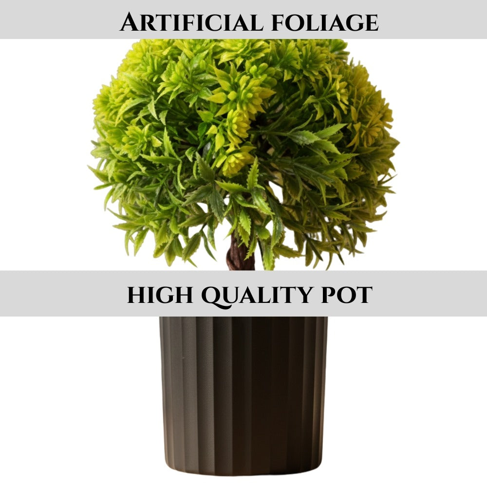 Artificial Bonsai Boxwood Buxus  Single Stem combo of 2